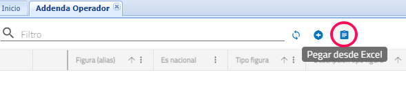 pegar_desde_excel_operador.png