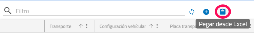 pegar_desde_excel_transporte.png