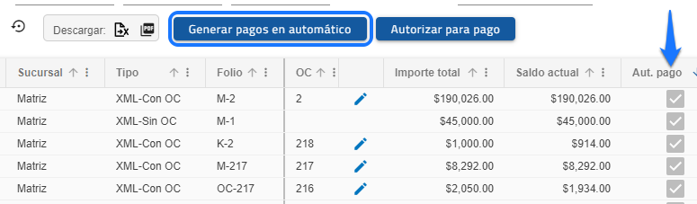 pago automatico.png