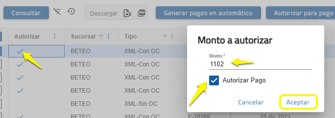 autorizar manual.png